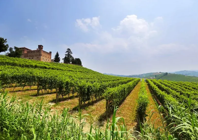 Relais San Maurizio, the former monastery above the vineyards of the Langhe.